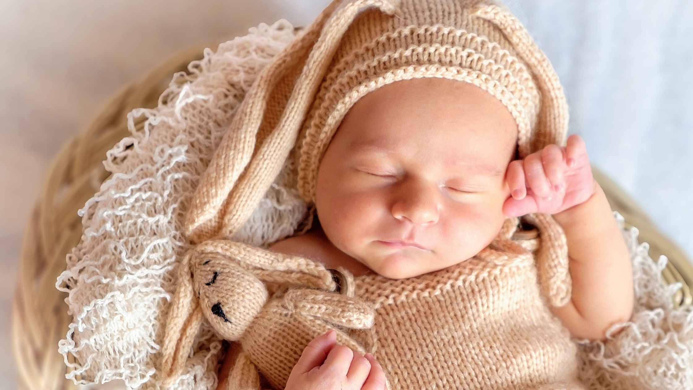 Newborn Baby Holding Teddy Bear | Organic Formula Hub